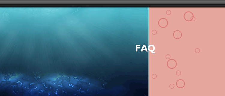 FAQ