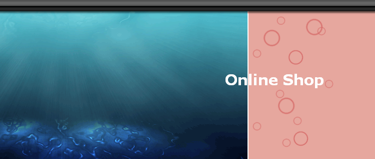 Online Shop